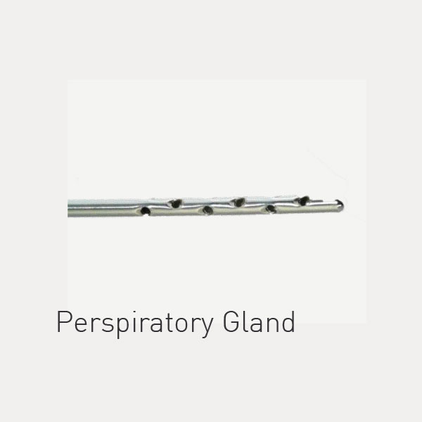 perspiratory gland